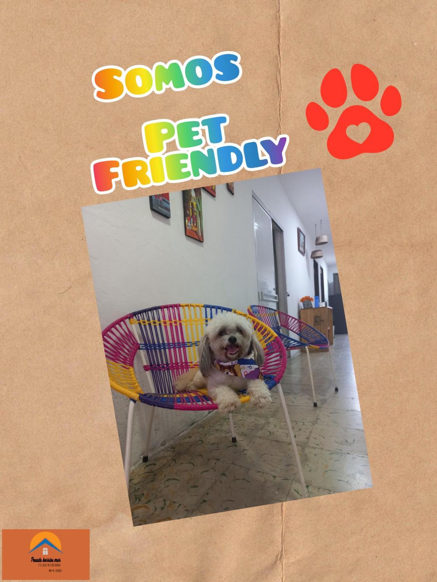 Guest house Barrios Mar 4*
